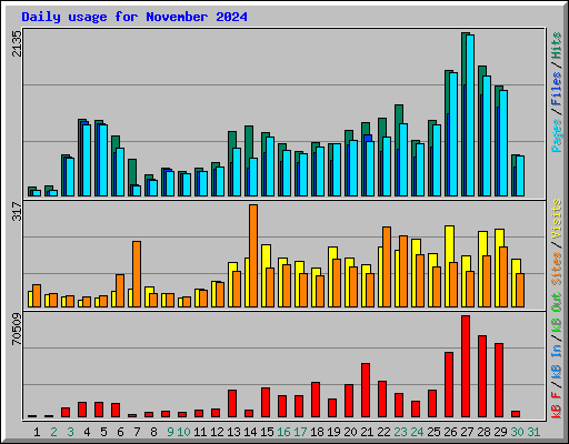 Daily usage for November 2024