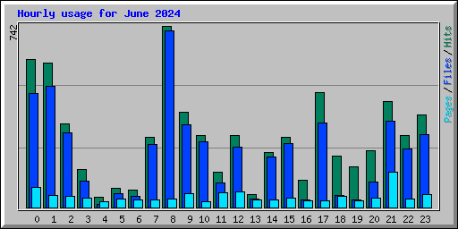 Hourly usage for June 2024