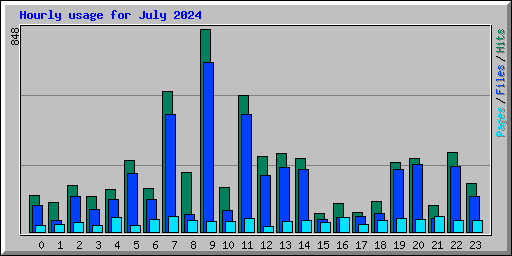 Hourly usage for July 2024