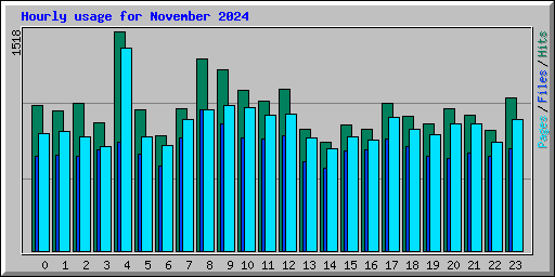 Hourly usage for November 2024