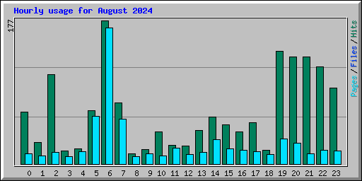 Hourly usage for August 2024